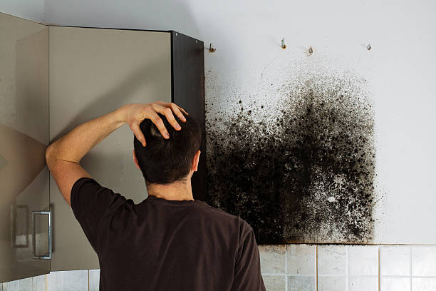 Mold Remediation for Rental Properties